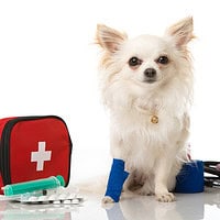 DIY pet first aid kit