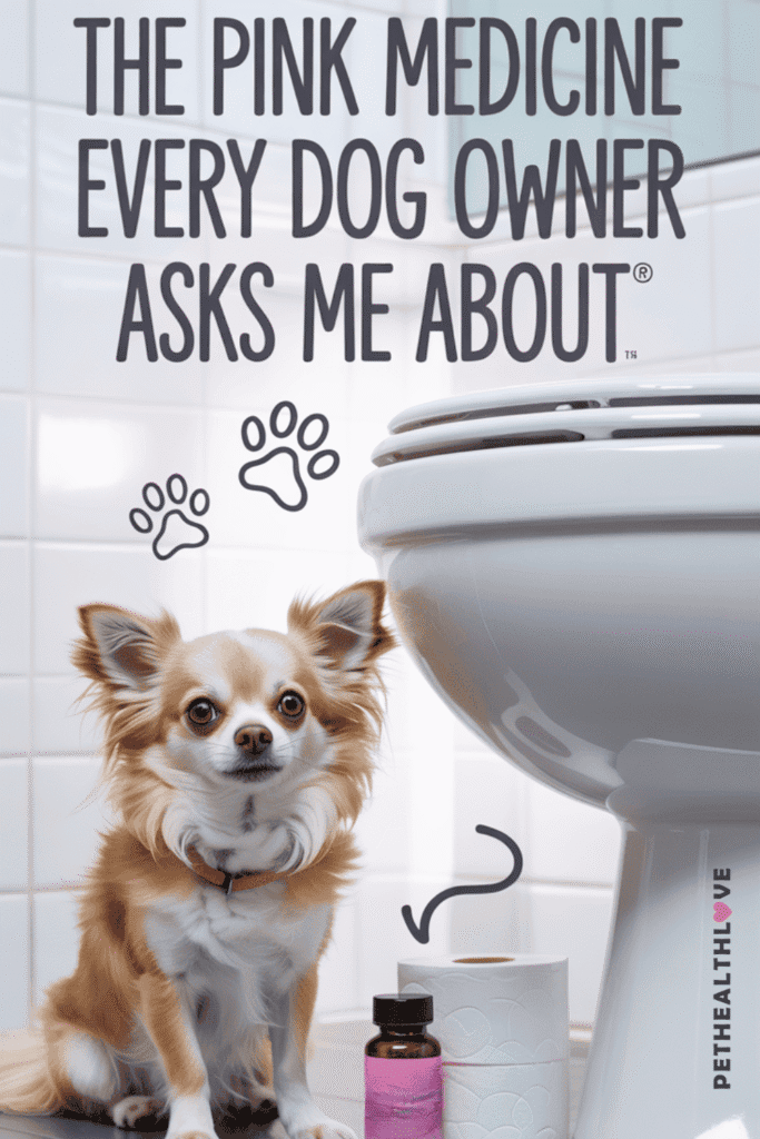 the pink medicine every dog owner asks me about - can i give my dog pepto bismol