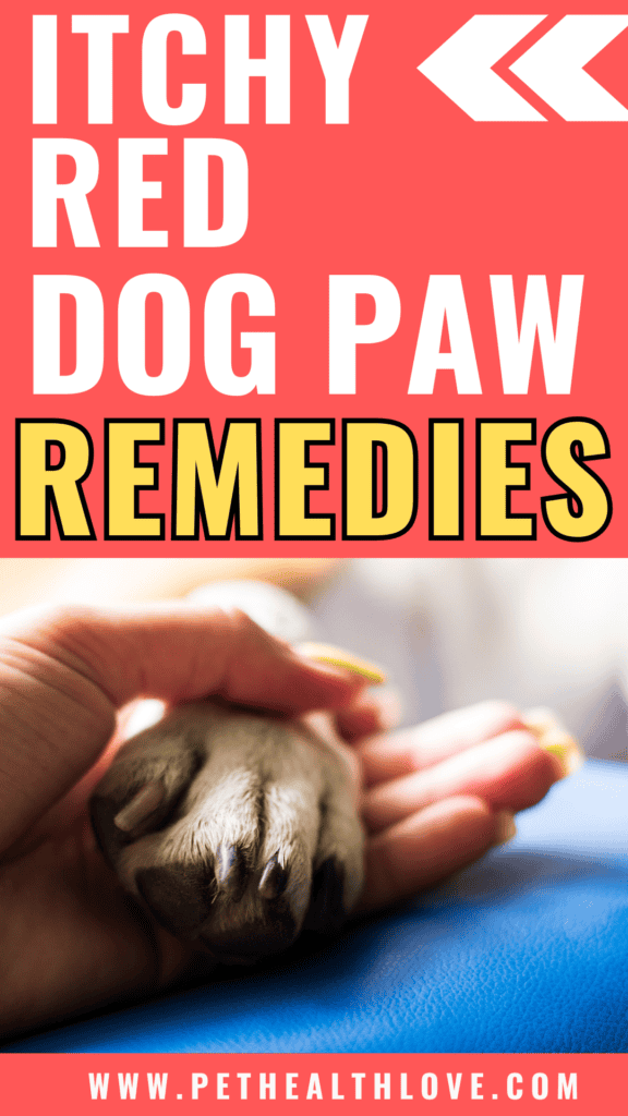 Red dog paws
