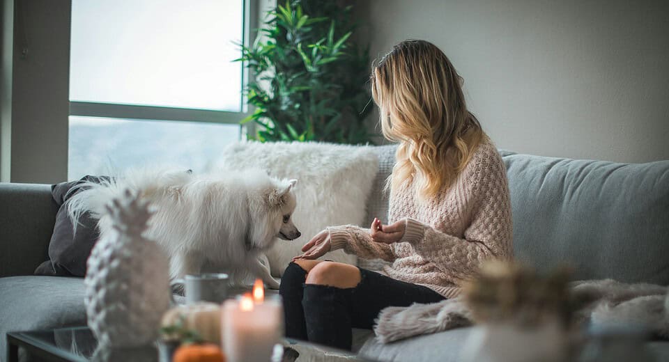 are essential oil candles safe for dogs