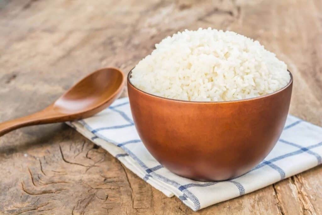 bland diet for dogs - bowl of white rice