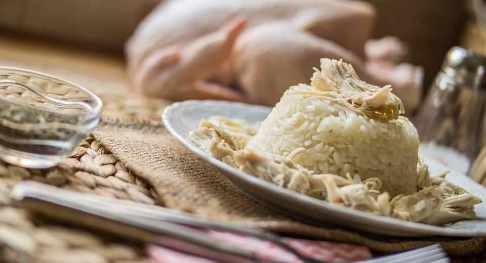 bland diet for dogs - plate of chicken and white rice