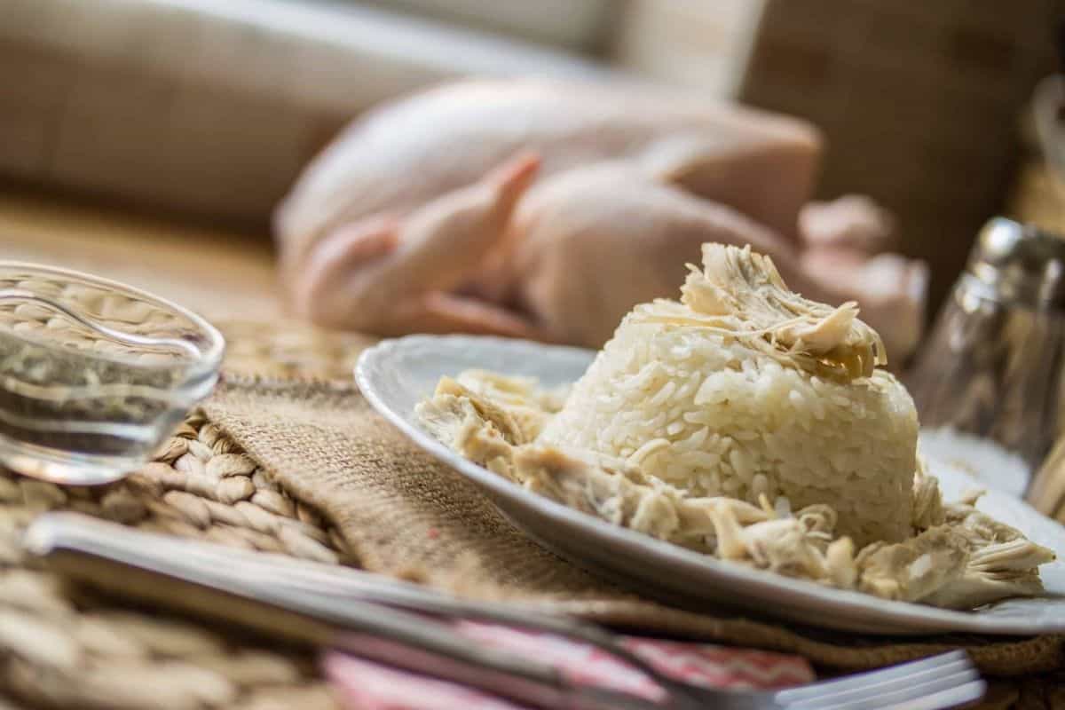 bland diet for dogs - plate of chicken and white rice