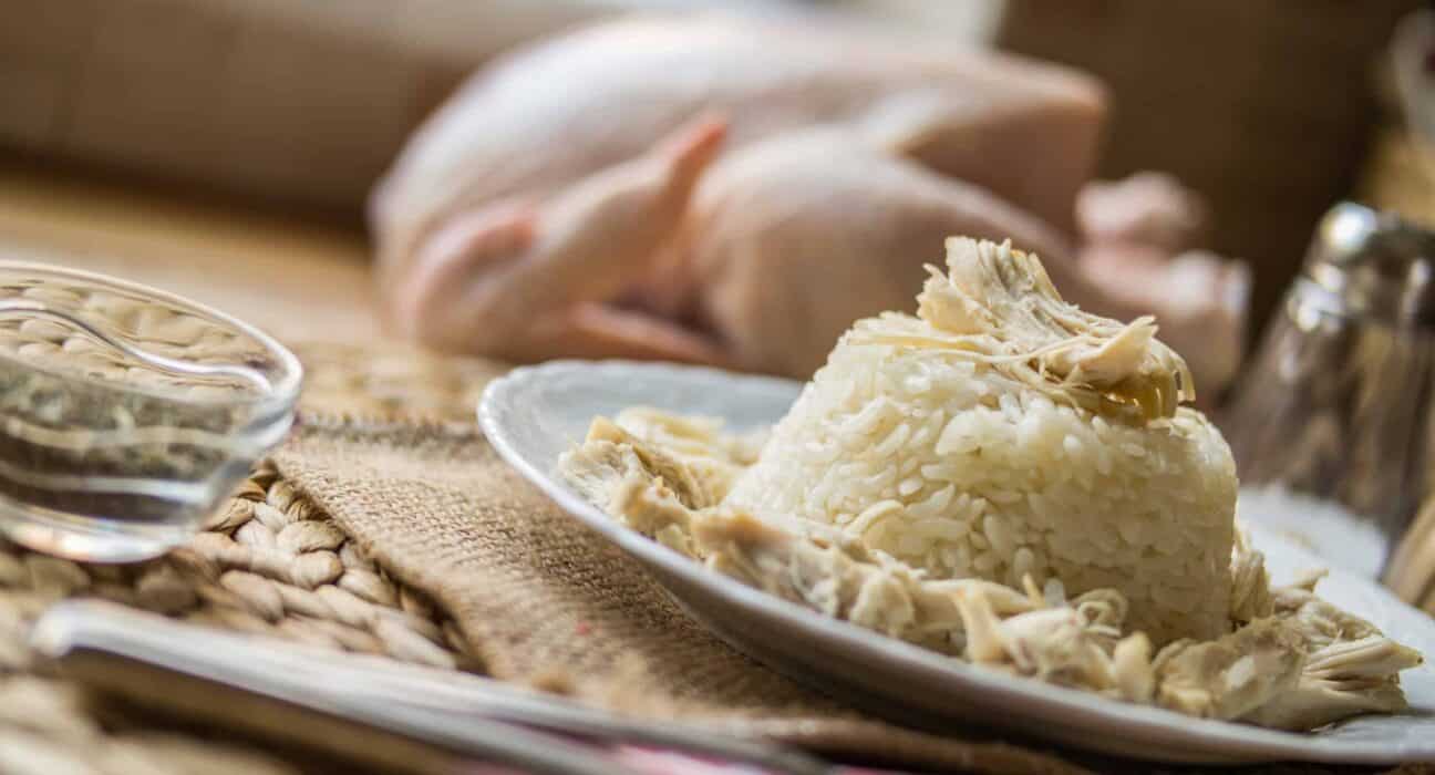 Soothing Stomachs A Guide To Bland Diet For Dogs (Printable Recipe Included) Pet Health Love