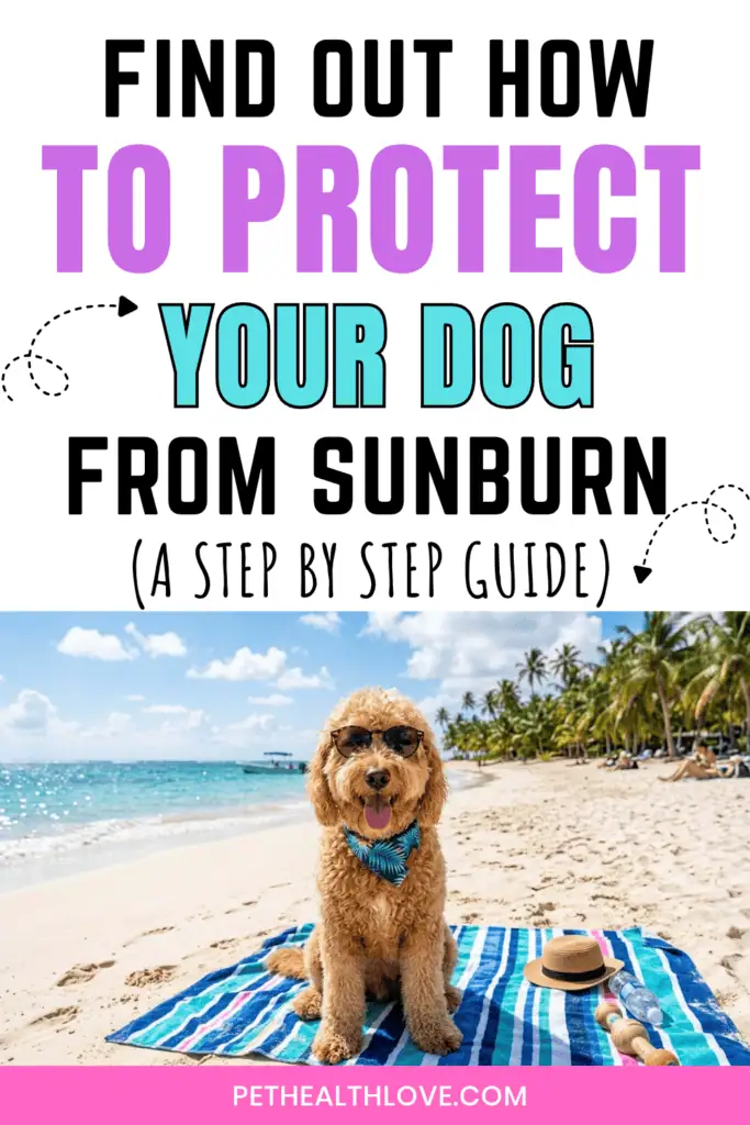 dog sunscreen