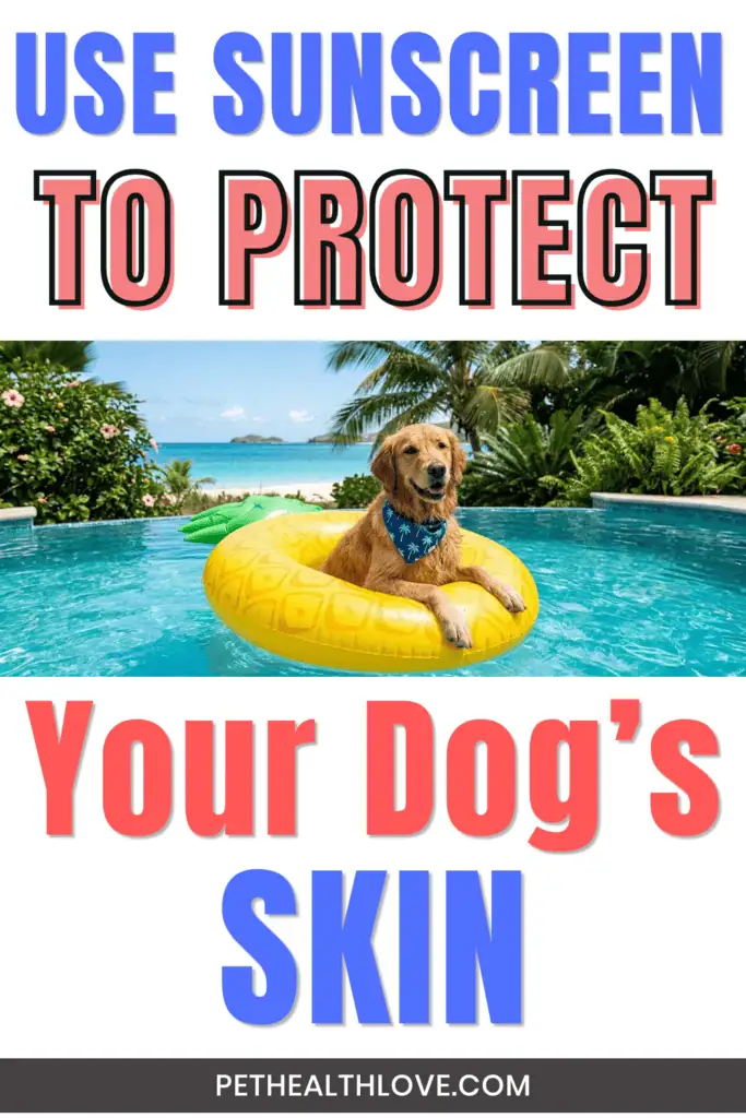 dog sunscreen