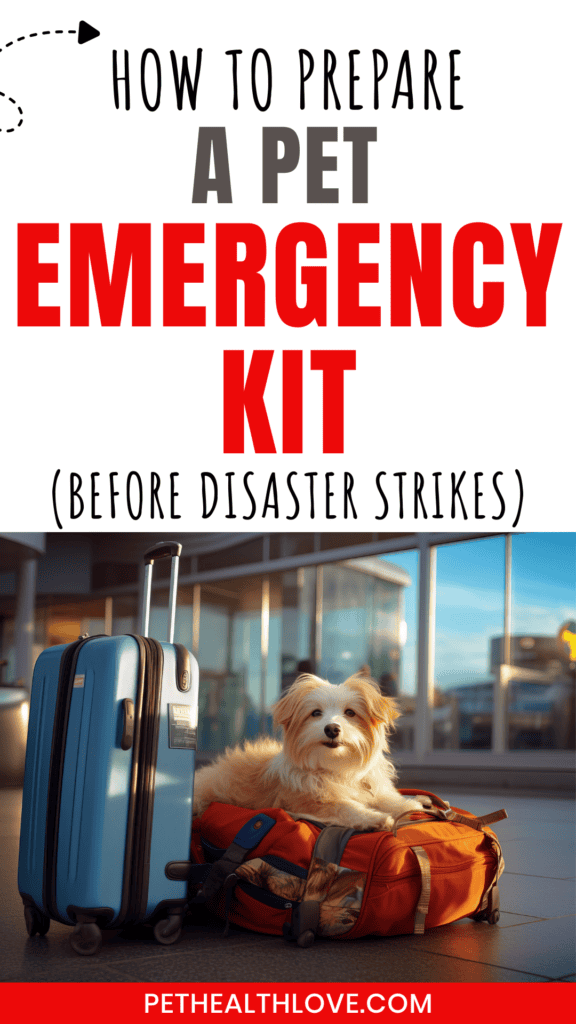 pet emergency kit