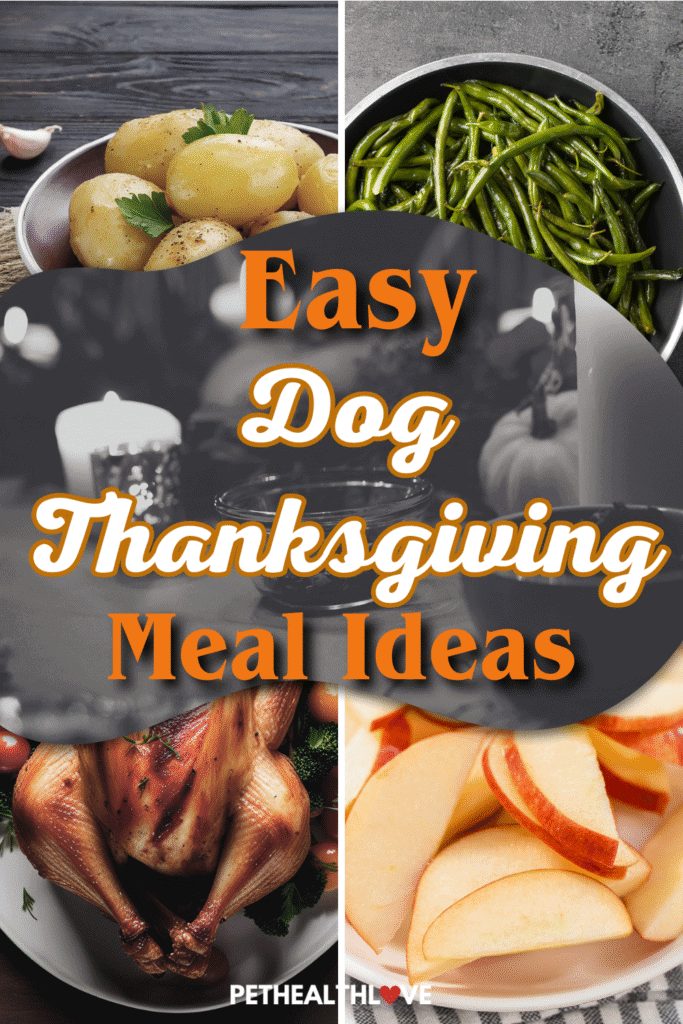 easy dog thanksgiving meal ideas turkey, apples, white potatoes