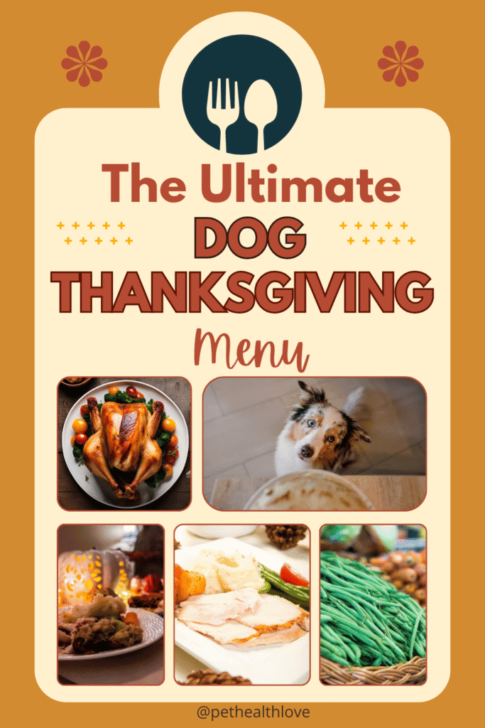 dog Thanksgiving foods - turkey, green beans, white potatoes