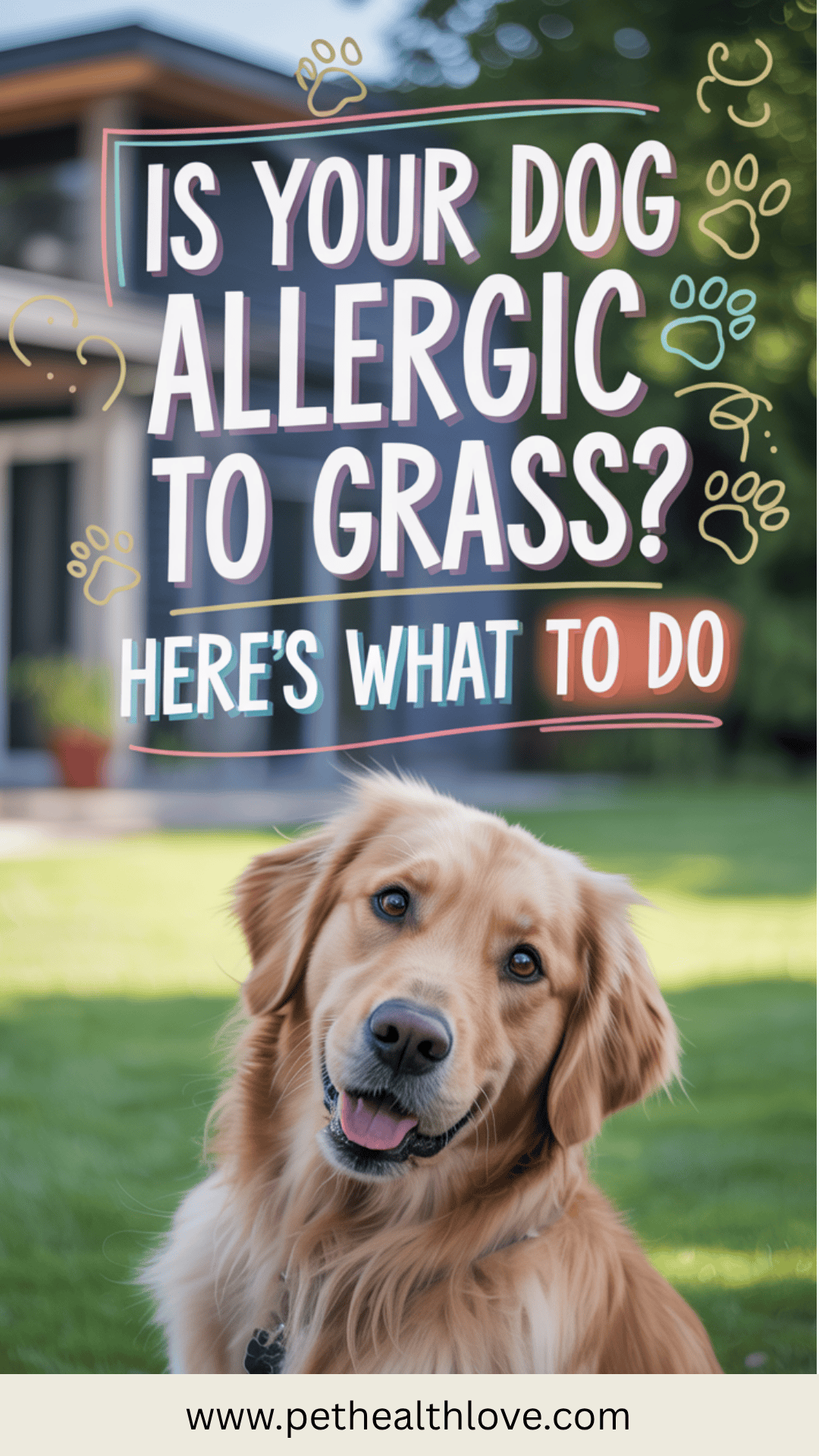Picture of Dog Allergic to Grass? Get Relief Fast with These Tips | Pet Health Love