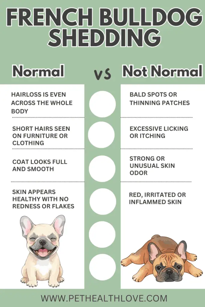 Do French bulldogs shed