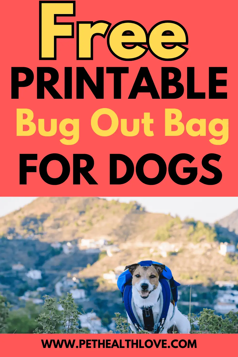 Dog bug out bag