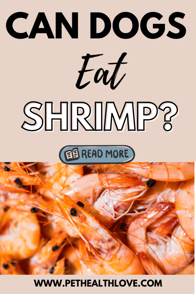 can dogs eat shrimp