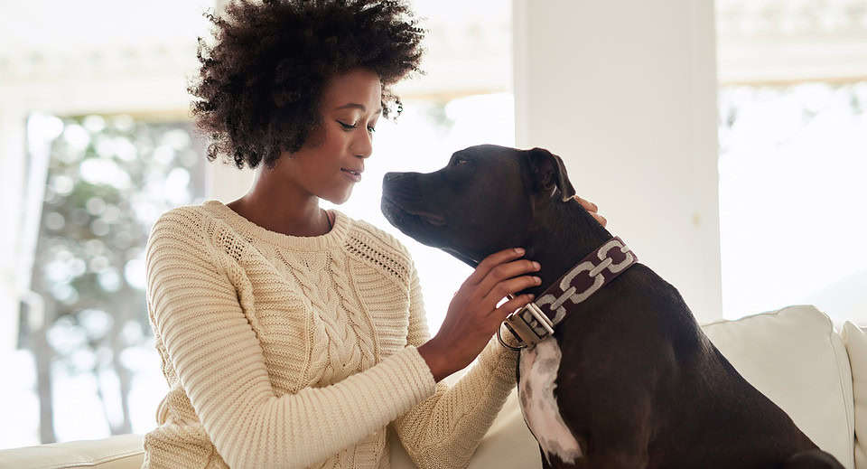 Job loss - a young woman petting her dog while sitting on the sofa at home