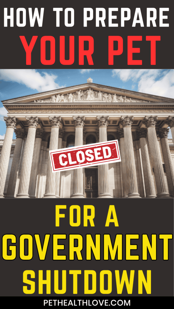 government shutdown