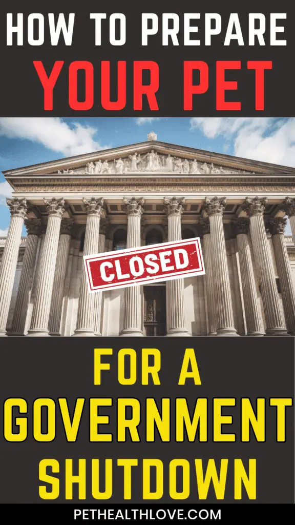 government shutdown