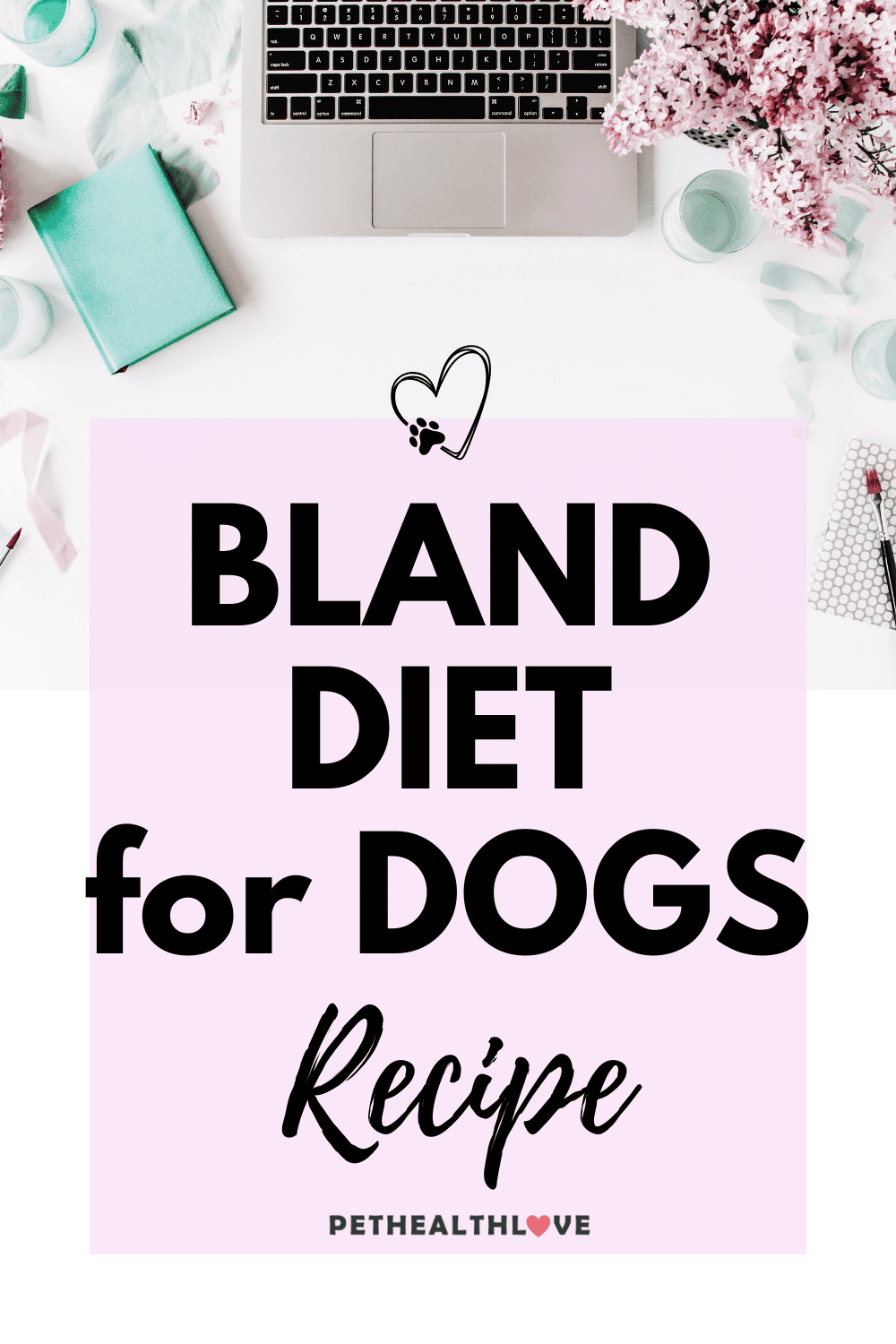 bland diet for dogs