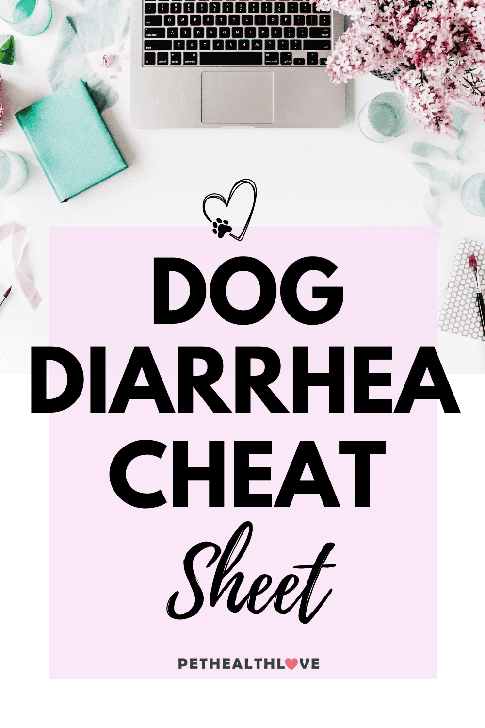 Dog diarrhea cheat sheet