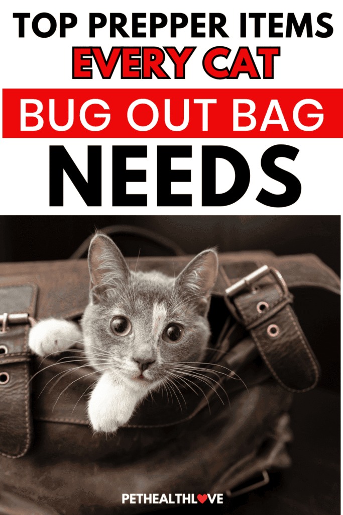 cat bug out bag