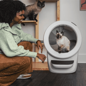 cat using an automatic litter box