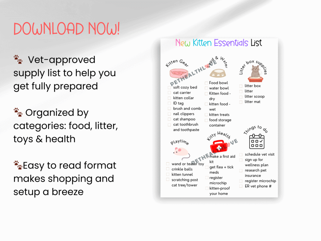 new kitten essentials list