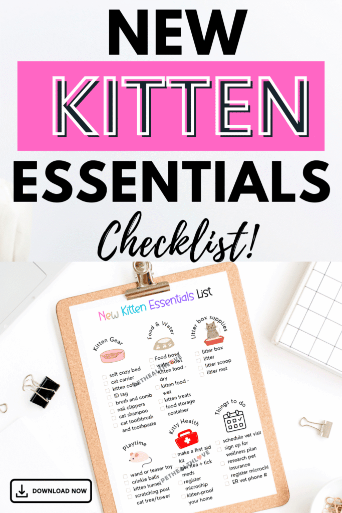 new kitten essentials pinterest pin