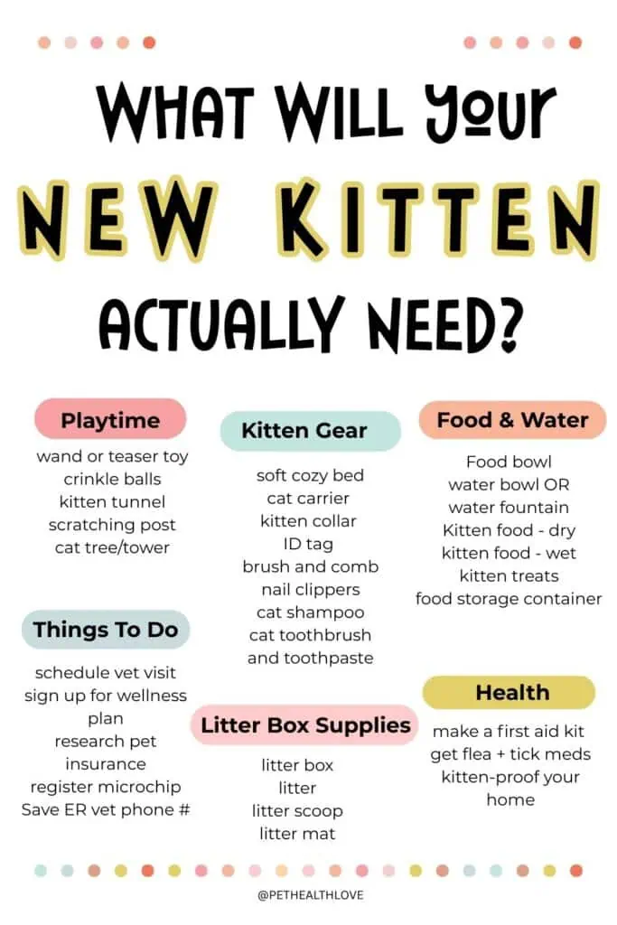 New kitten List