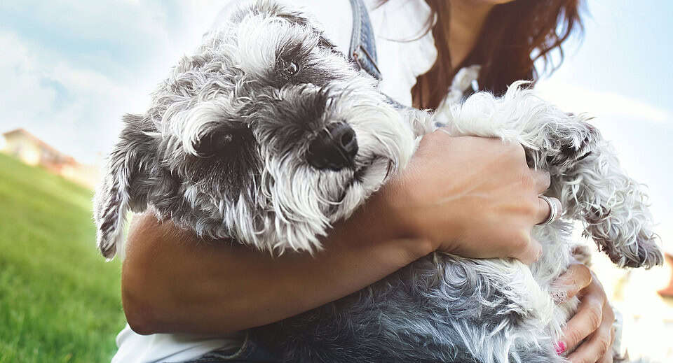 dog quotes - young woman holding a grey dog