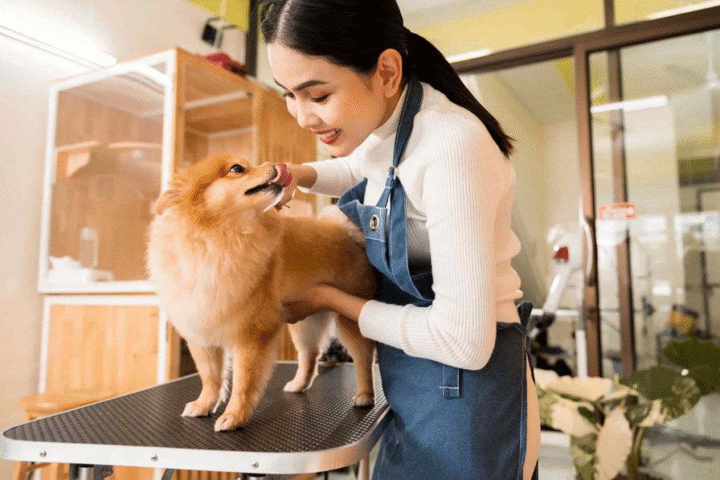 dog grooming accident - young lady looking at a Pomeranian on a grooming table