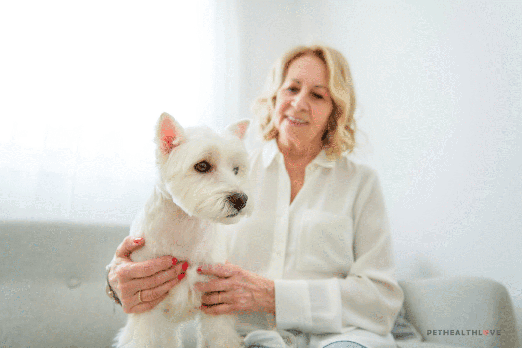 dog health red flags