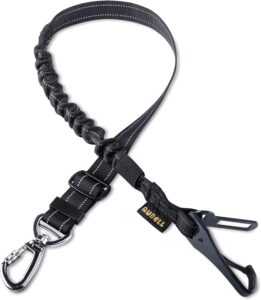dog car seat belt