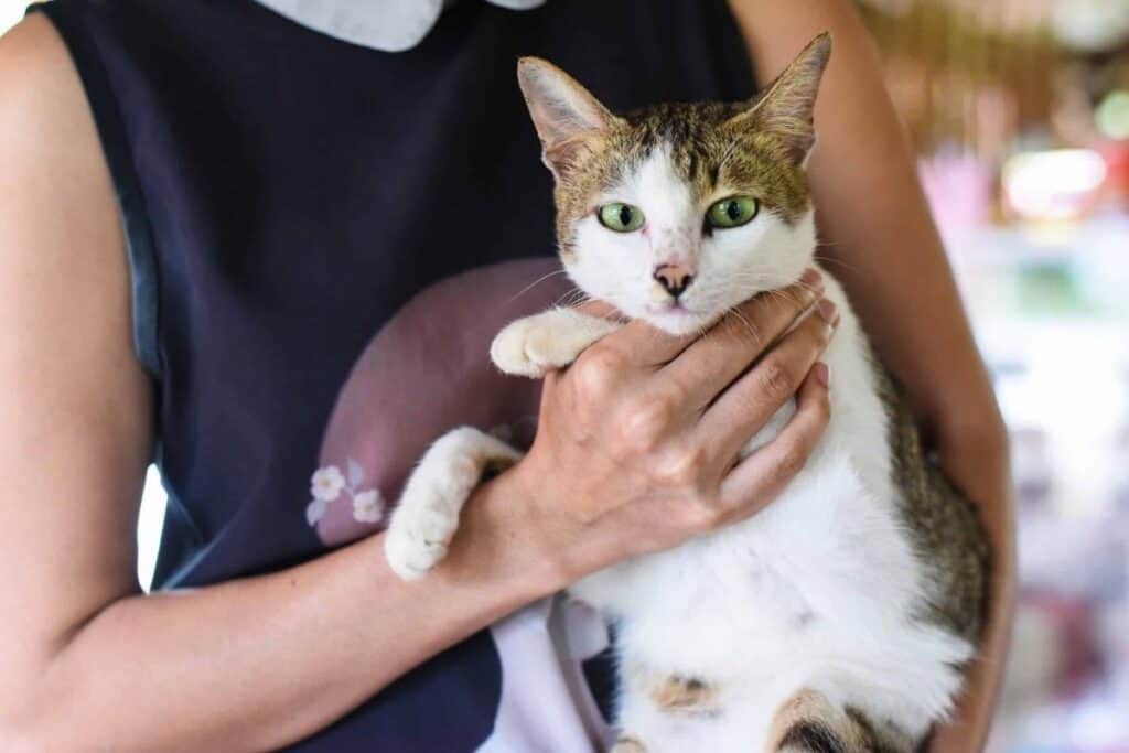 Lady holding a white cat in her arms