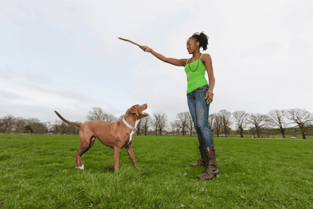 young lady holding a stick with her dog sitting in front of her