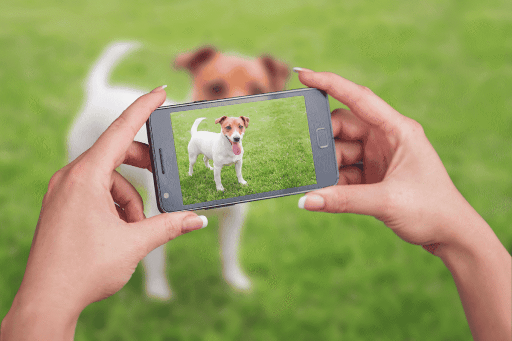 best dog apps