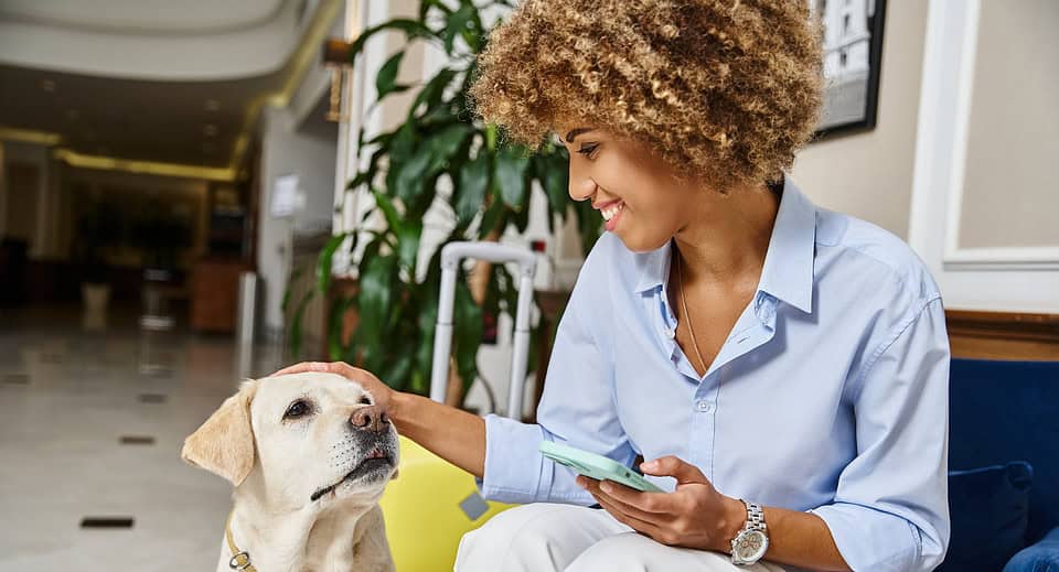 tourist with phone cuddling dog at a pet-friendly hotel, labrador and happy african american woman - best dog apps