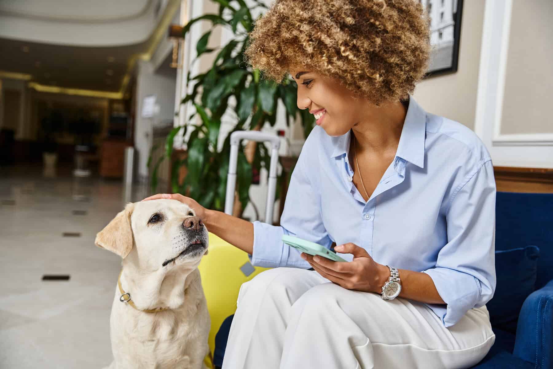 tourist with phone cuddling dog at a pet-friendly hotel, labrador and happy african american woman - best dog apps
