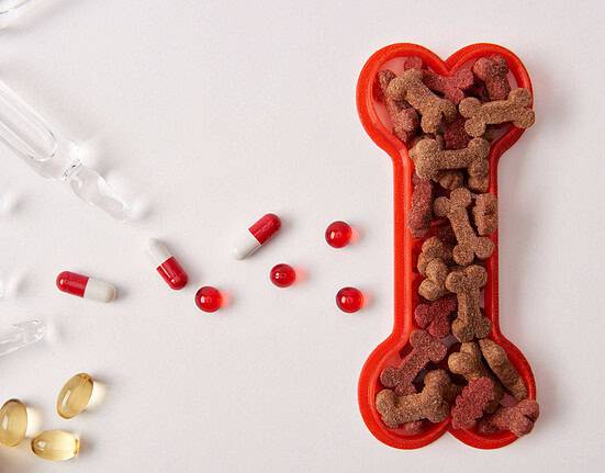 best dog supplements