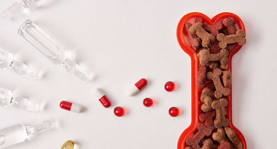 best dog supplements