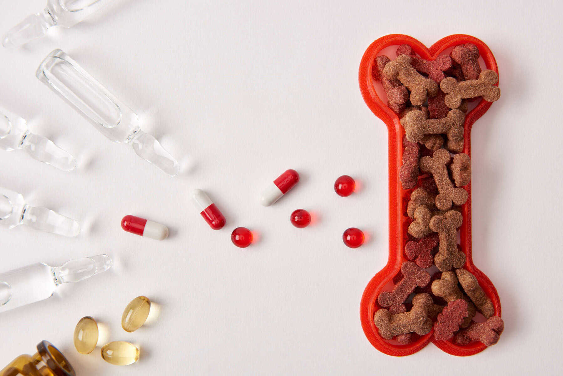 best dog supplements