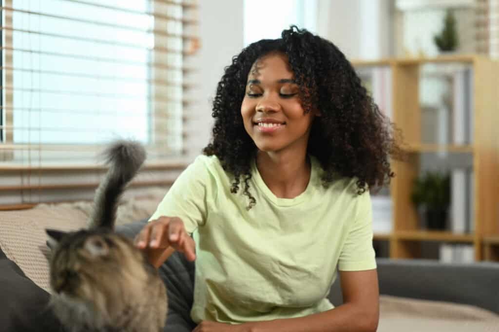 Cheerful young Black woman wearing casual clothes playing with a cat on a couch at home.