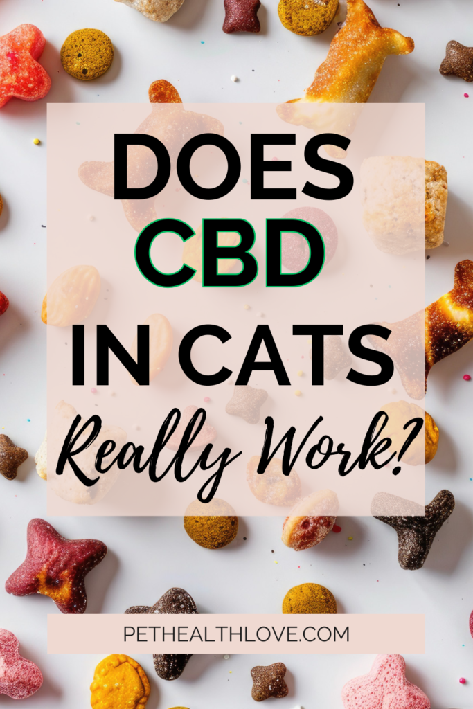 cbd in cats