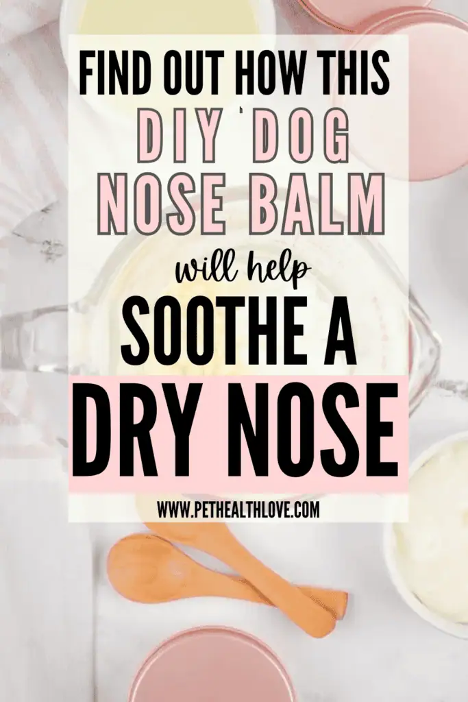 dog nose balm A