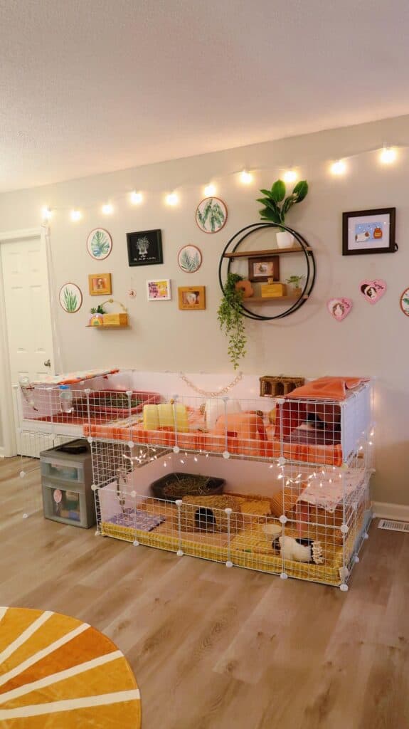 guinea pig cage