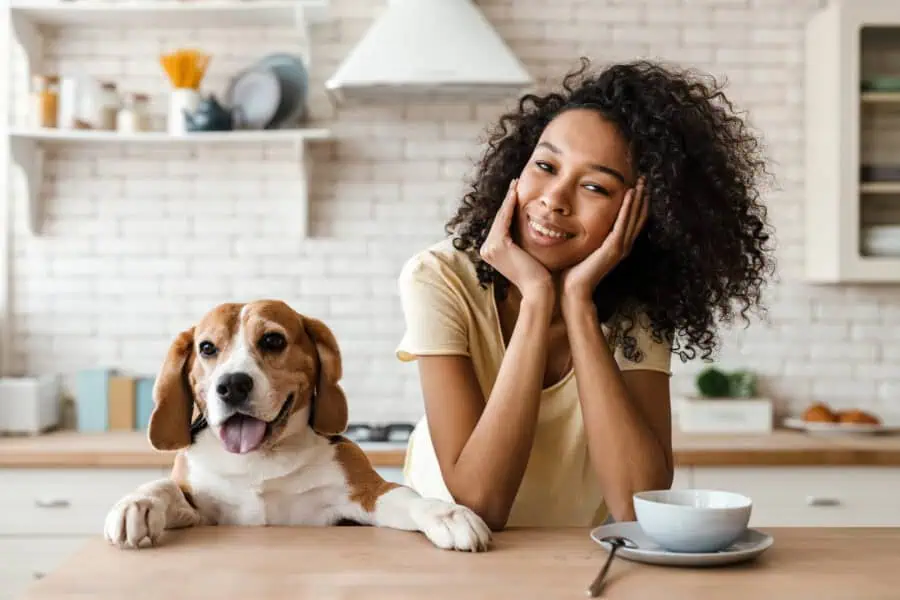 Smiling young woman leaning on a kitchen counter with her pet beagle - best kidney diet for dogs