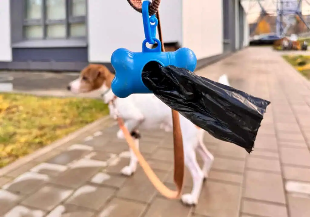 Pet Bags on a Leash.
