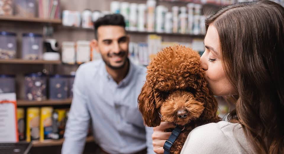 pet supply stockpile - Woman kissing poodle near blurred salesman in pet shop