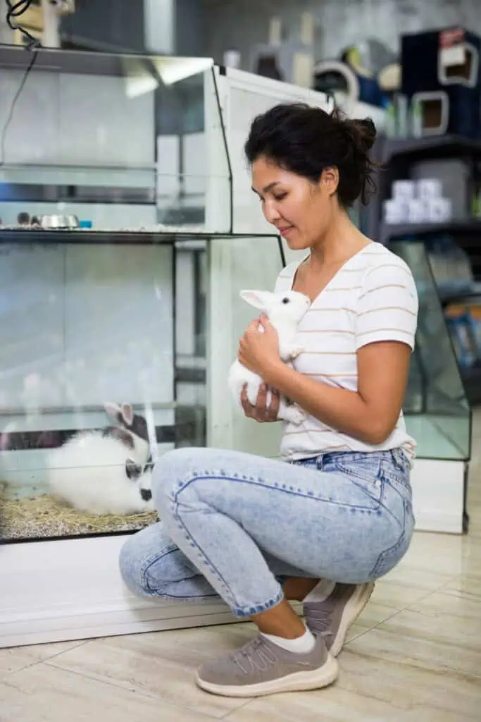 pet supply stockpile