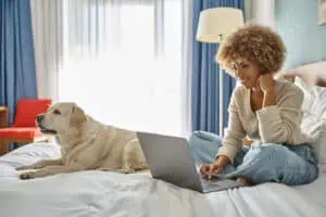 AI pet care