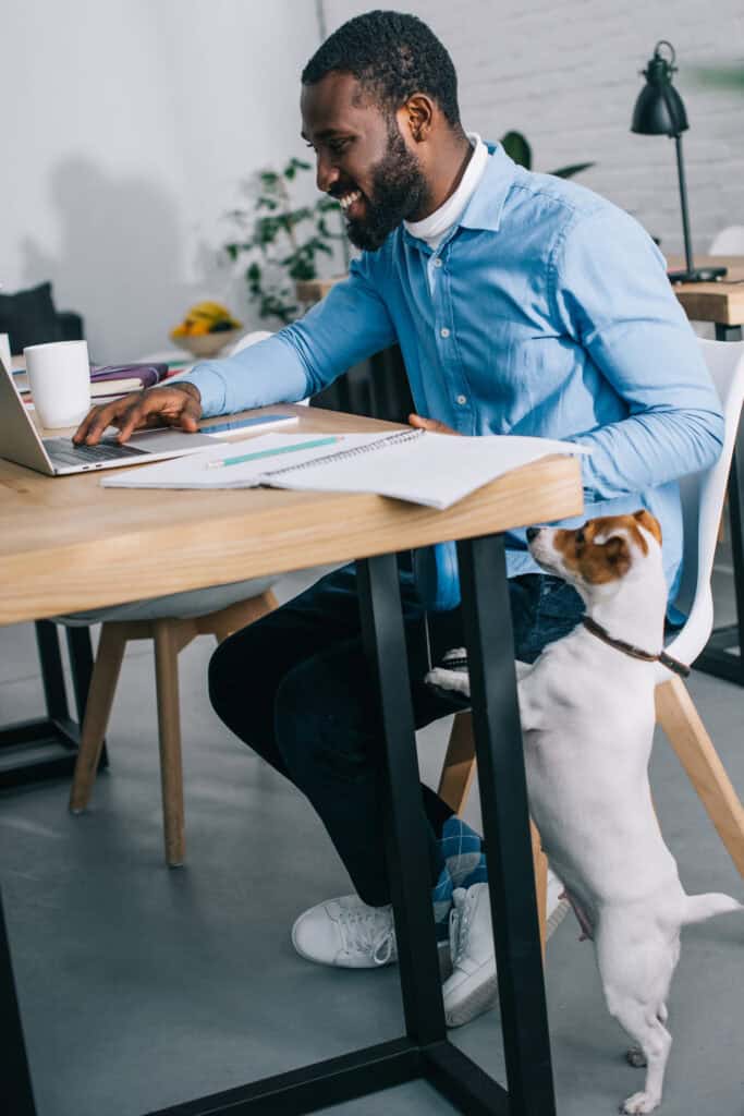 side view of smiling african american businessman working on laptop and dog standing near