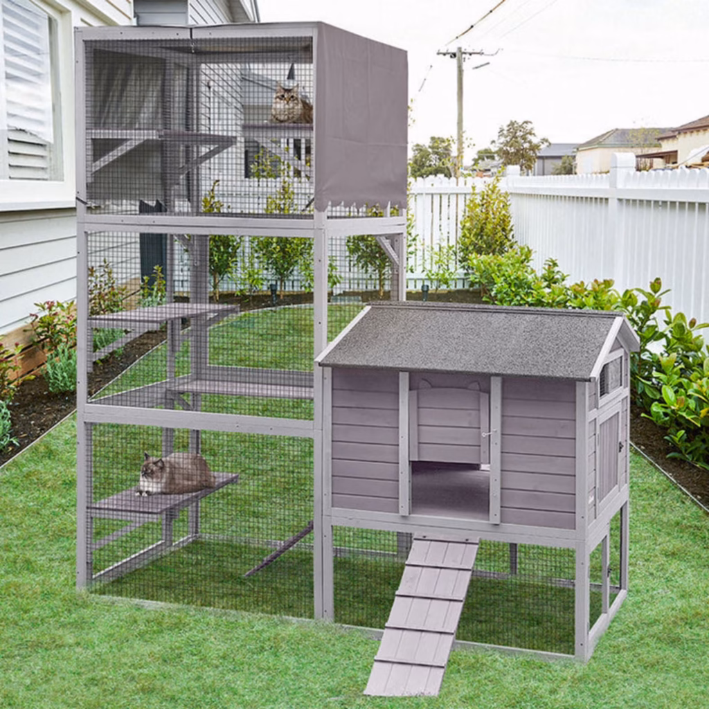 multi-level catio